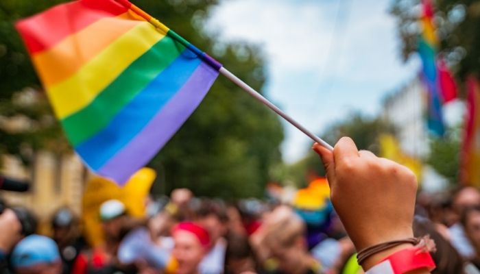 CONSELHO MUNICIPAL DE POLÍTICAS LGBTQIA+